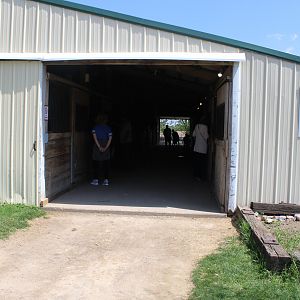 Horse + Reindeer Barn
