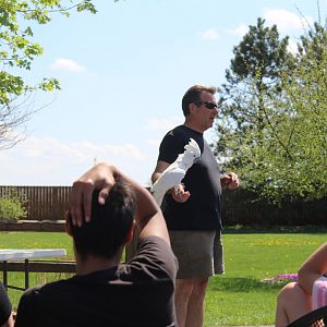 Animal Presentatuion - Umbrella Cockatoo