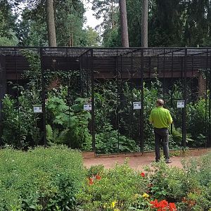Miscellaneous Aviaries