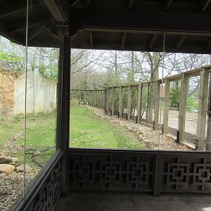 Musk Deer Exhibit Porgress