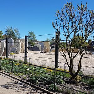 New Elephant-enclosure