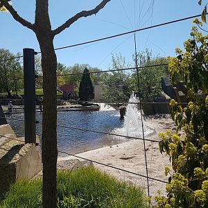 Pool in the new Elephant-enclosure