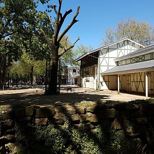 Thomsons gazelle-enclosure