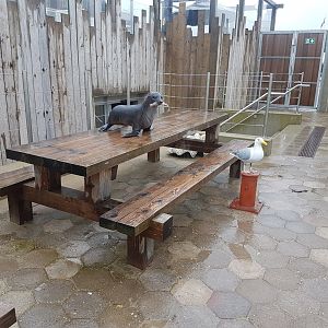Garden seat in front of Seal-enclosure