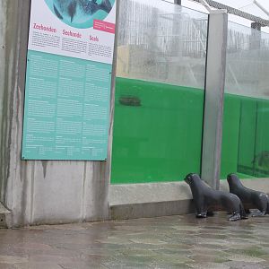 Part Harbour seal-enclosure
