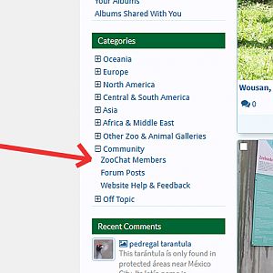 Member Gallery (for help forum)