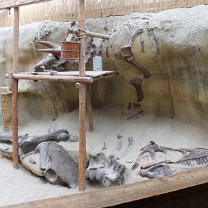 Dino-excavation-site