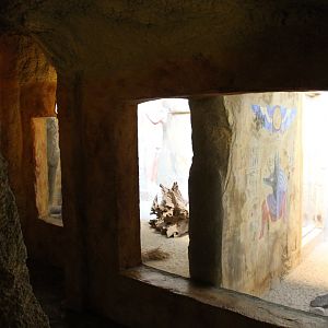 Dwarf mongoose and Fennek-enclosures