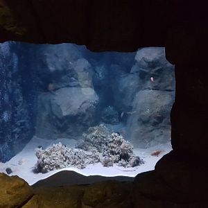 Smaller aquarium