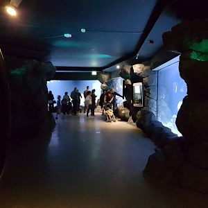 View into the Oceanium