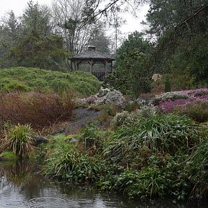 VanDusen Gardens - My First US Zoo Trip