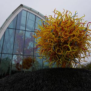Chihuly Garden and Glass - My US Zoo Trip