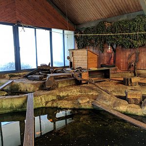 Otter Holt Exhibit