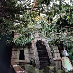 Monsoon Falls Exhibit