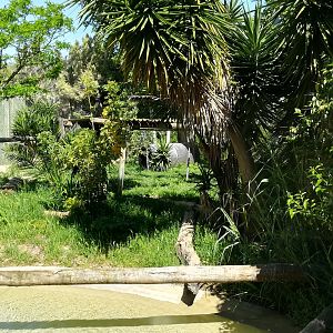 Sumatran tiger enclosure