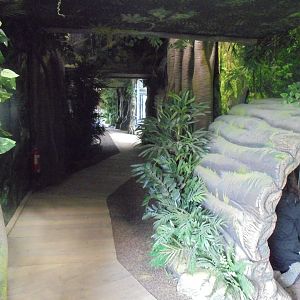 Chimp Eden Visitor Walkway