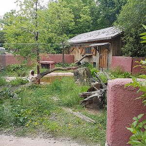 Part Tasmanian devil-enclosure