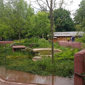 Second part Tasmanian devil enclosure