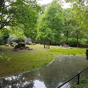 Coati - Chacoan peccary-enclosure