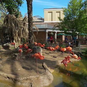 Entrance - Caribbean Flamingo Exhibit