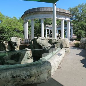 Sea Lions  - Newer Pool