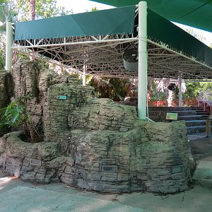 Sea Lions  - Newer Pool Viewing Area