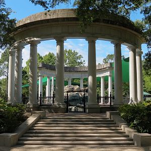Sea Lions - Historic Pool