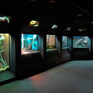 Reptile Encounter - Interior Exhibits