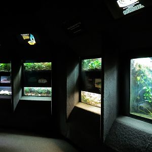 Reptile Encounter - Interior Exhibits