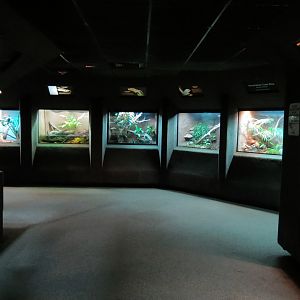 Reptile Encounter - Interior Exhibits