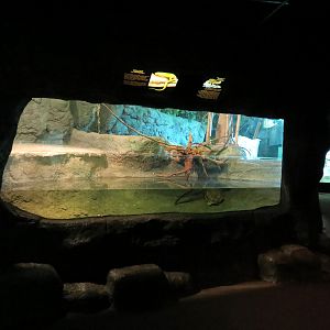 Reptile Encounter - Interior Exhibits