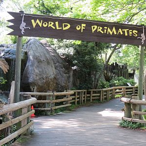 World of Primates - Entrance