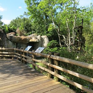 World of Primates - White-faced Saki and Golden Lion Tamarin Exhibit