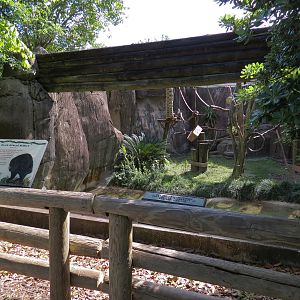 World of Primates - Black Howler Monkey Exhibit