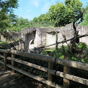 World of Primates - Mandrill Exhibit