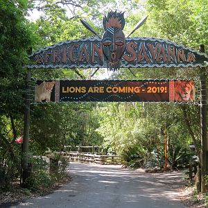 African Savanna - Entrance