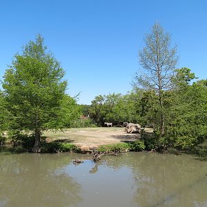 African Savanna - Mixed Species Exhibit