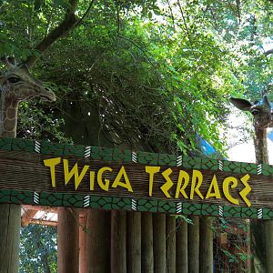 African Savanna - Twiga Terrace - Sign