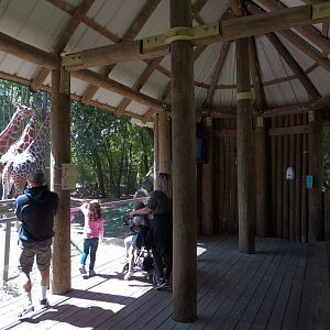African Savanna - Twiga Terrace - Viewing Area