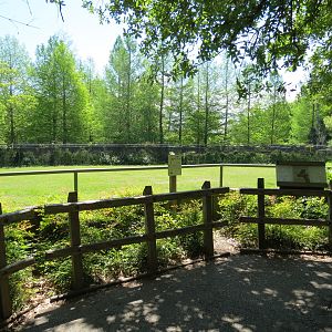 African Savanna - Twiga Terrace - Giraffe Exhibit