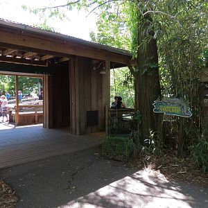 Louisiana Swamp - Entrance