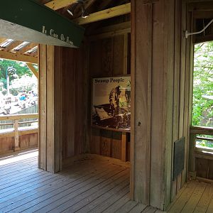 Louisiana Swamp - Entrance