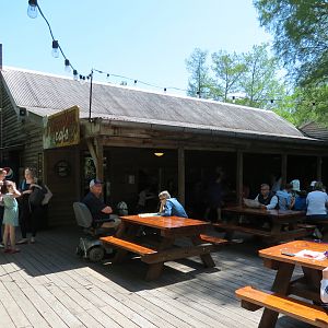 Louisiana Swamp - Cypress Knee Cafe