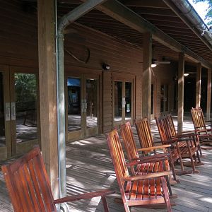 Louisiana Swamp - Cypress Knee Cafe