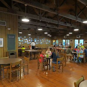 Louisiana Swamp - Cypress Knee Cafe