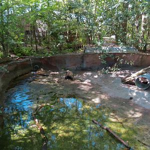 Louisiana Swamp - Nutria Exhibit