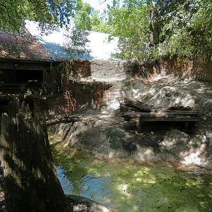 Louisiana Swamp - River Otter Exhibit