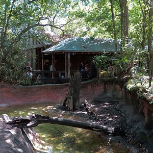 Louisiana Swamp - River Otter Exhibit