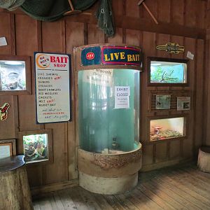 Louisiana Swamp - Terrarium Exhibits