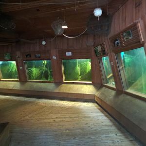 Louisiana Swamp - Fish Exhibits